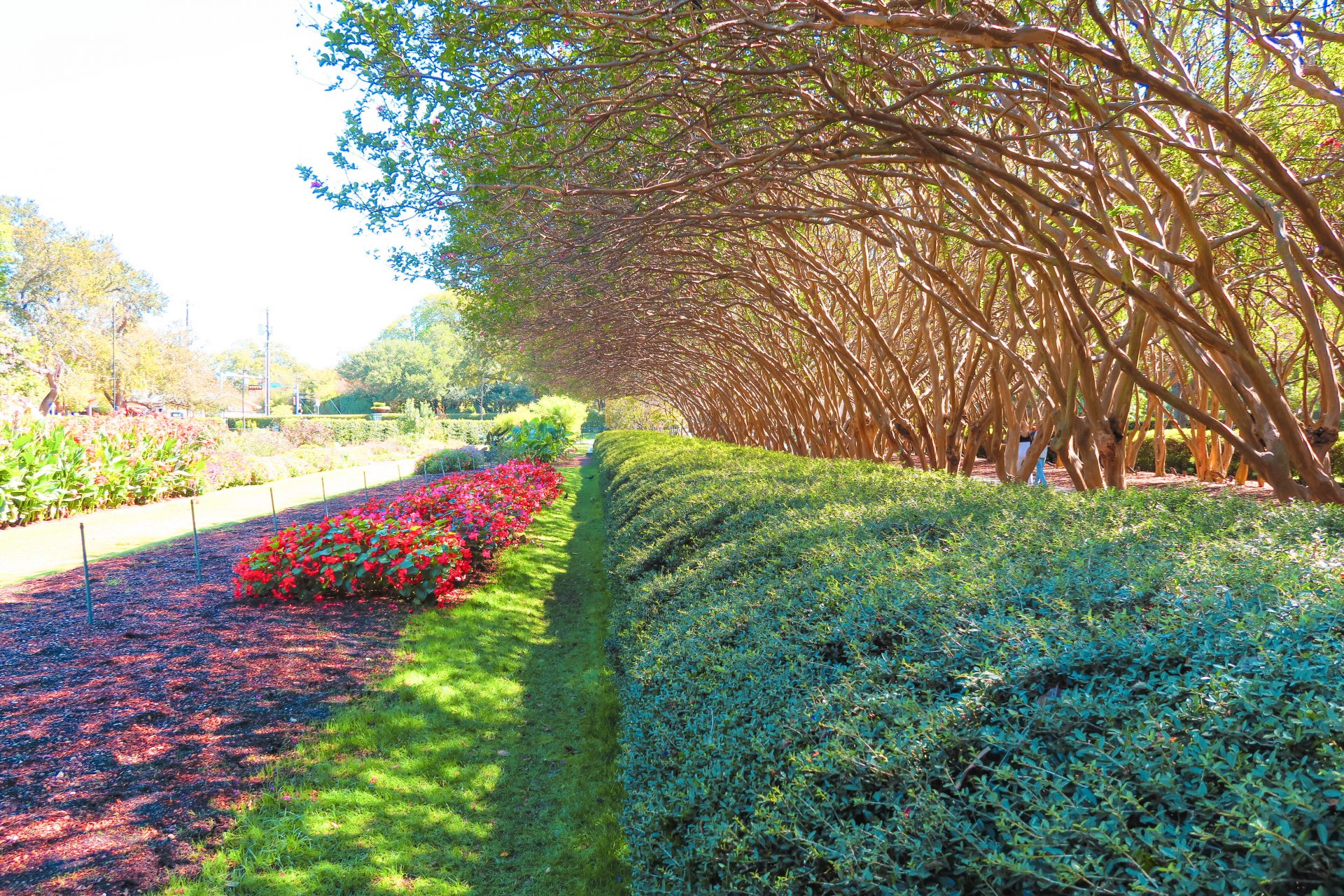 dallas texas itinerary dallas texas itinerary