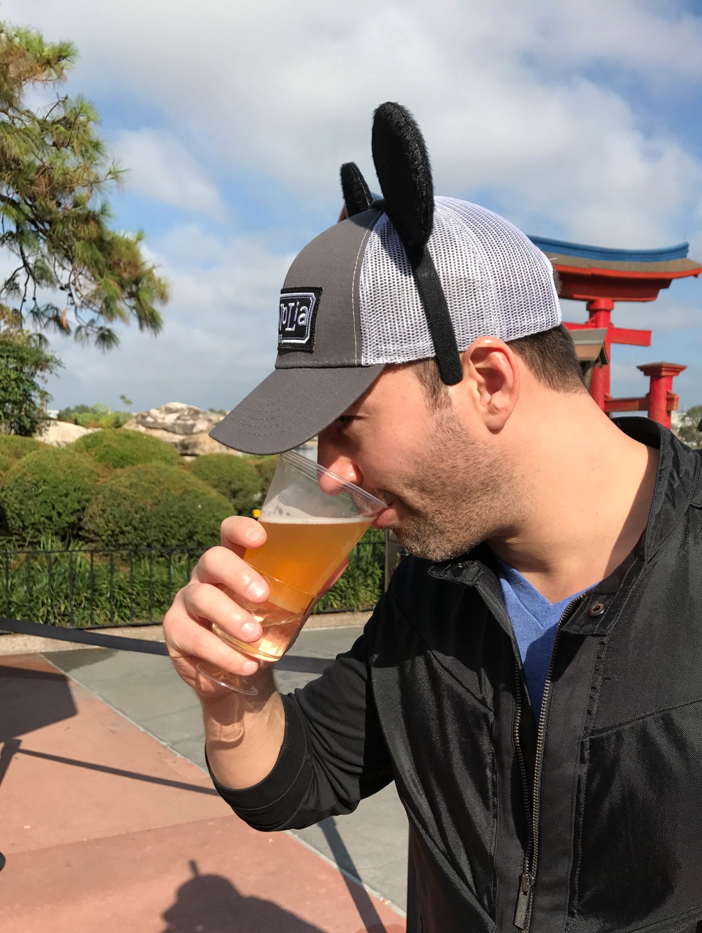 drinking around the world Epcot drinking around the world Epcot