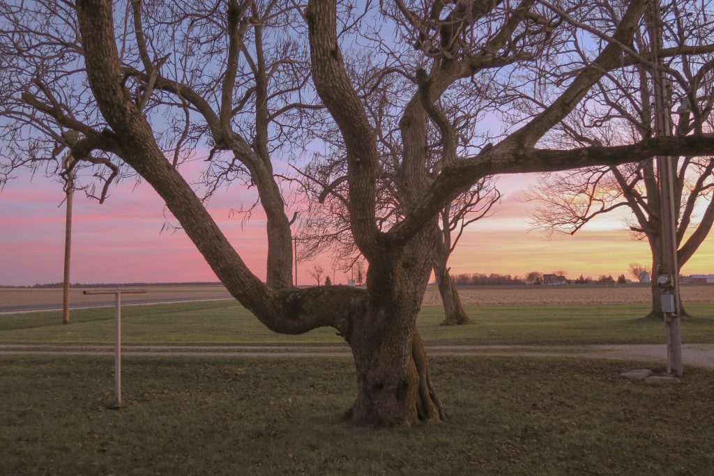 love story Willshire Ohio love story Willshire Ohio