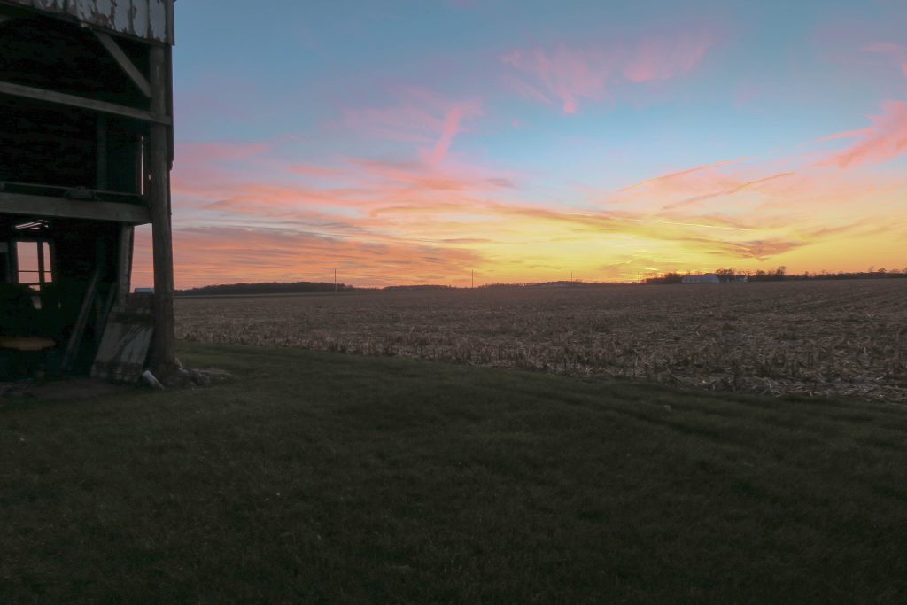 love story Willshire Ohio love story Willshire Ohio