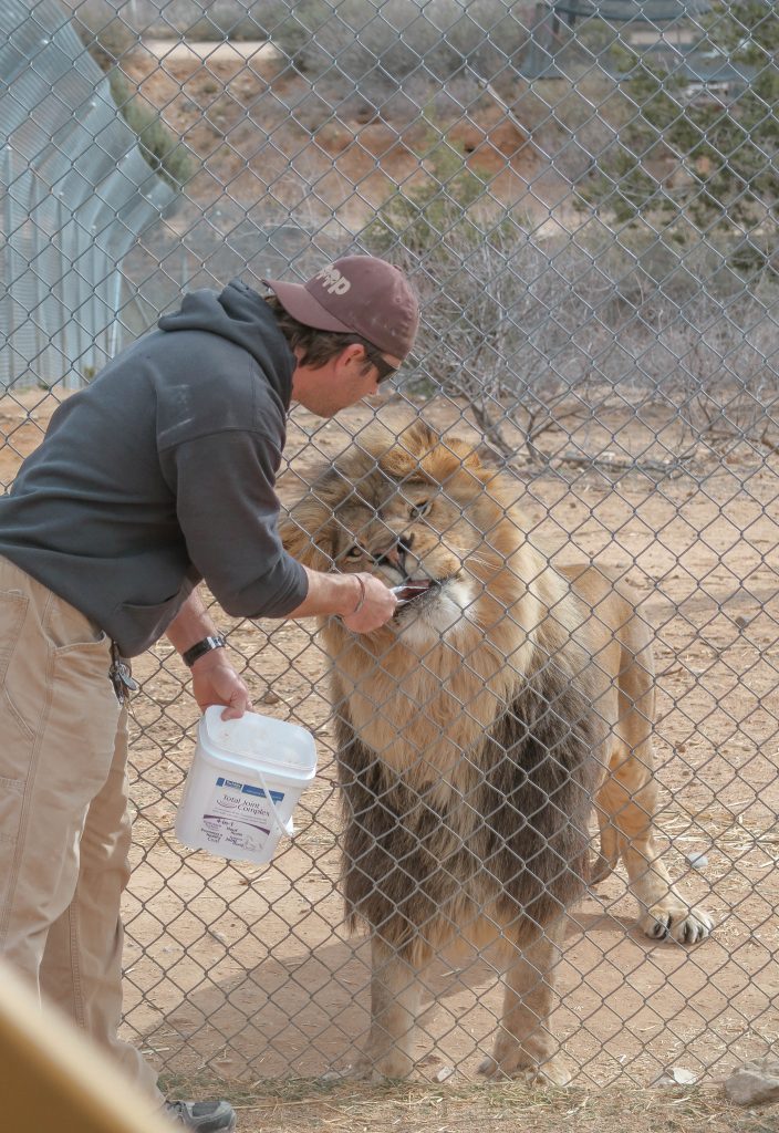 Out of Africa wildlife park Out of Africa wildlife park