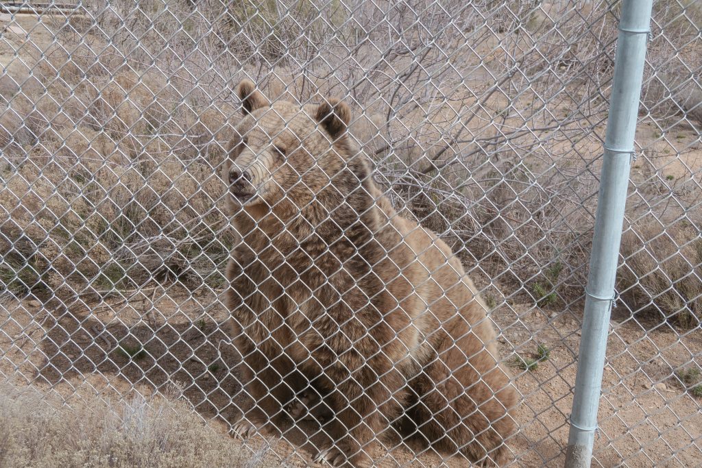 Out of Africa wildlife park Out of Africa wildlife park