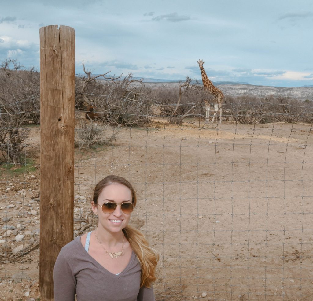 Out of Africa wildlife park Out of Africa wildlife park