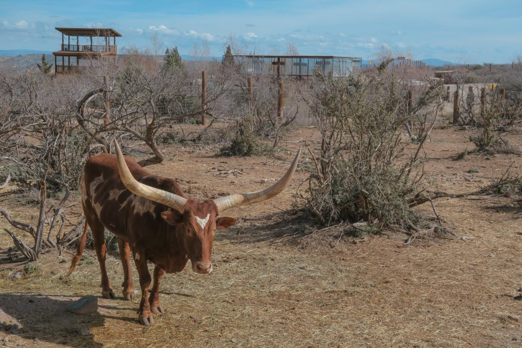 Out of Africa wildlife park Out of Africa wildlife park