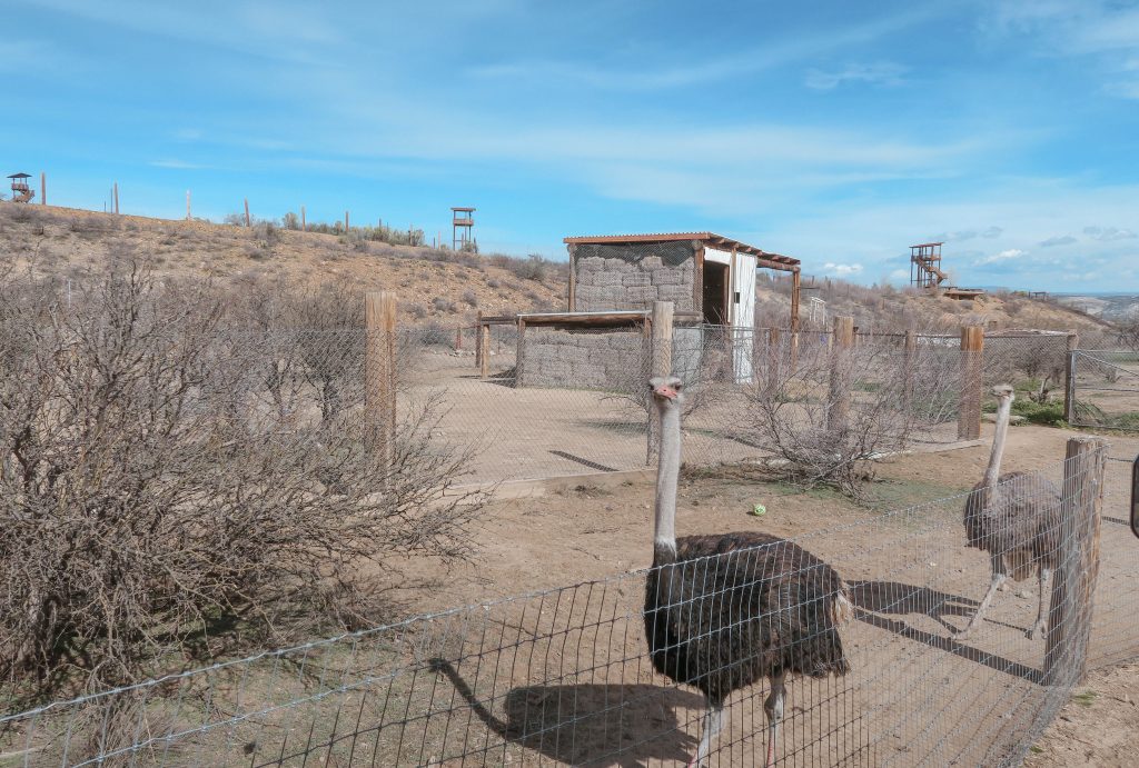 Out of Africa wildlife park Out of Africa wildlife park