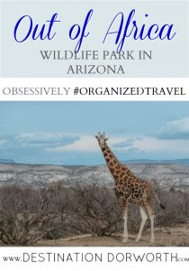 out of Africa Pinterest out of Africa wildlife park