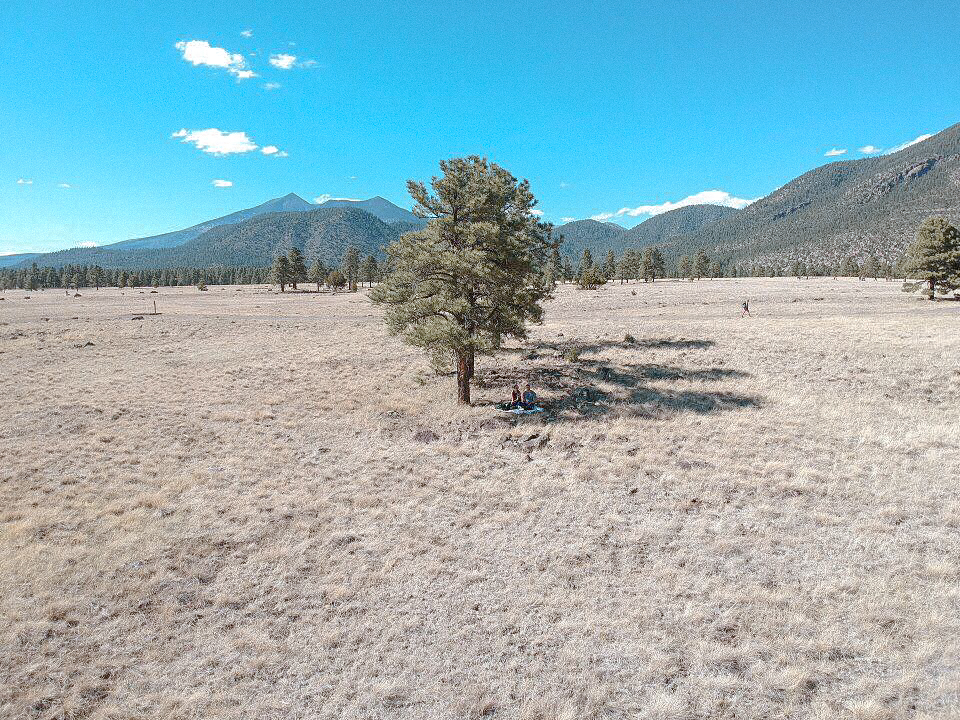 weekend flagstaff buffalo park flagstaff