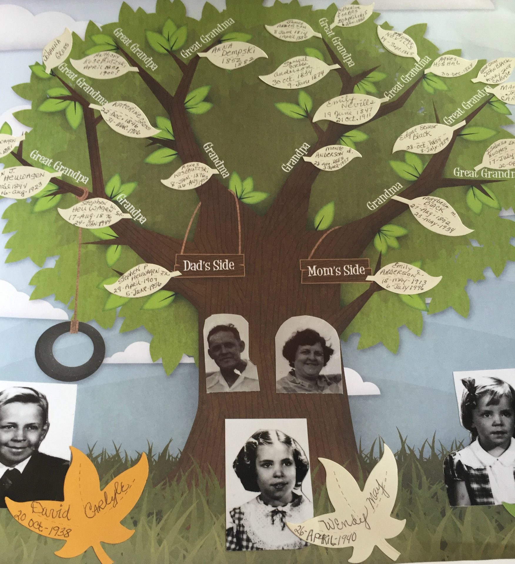 family tree