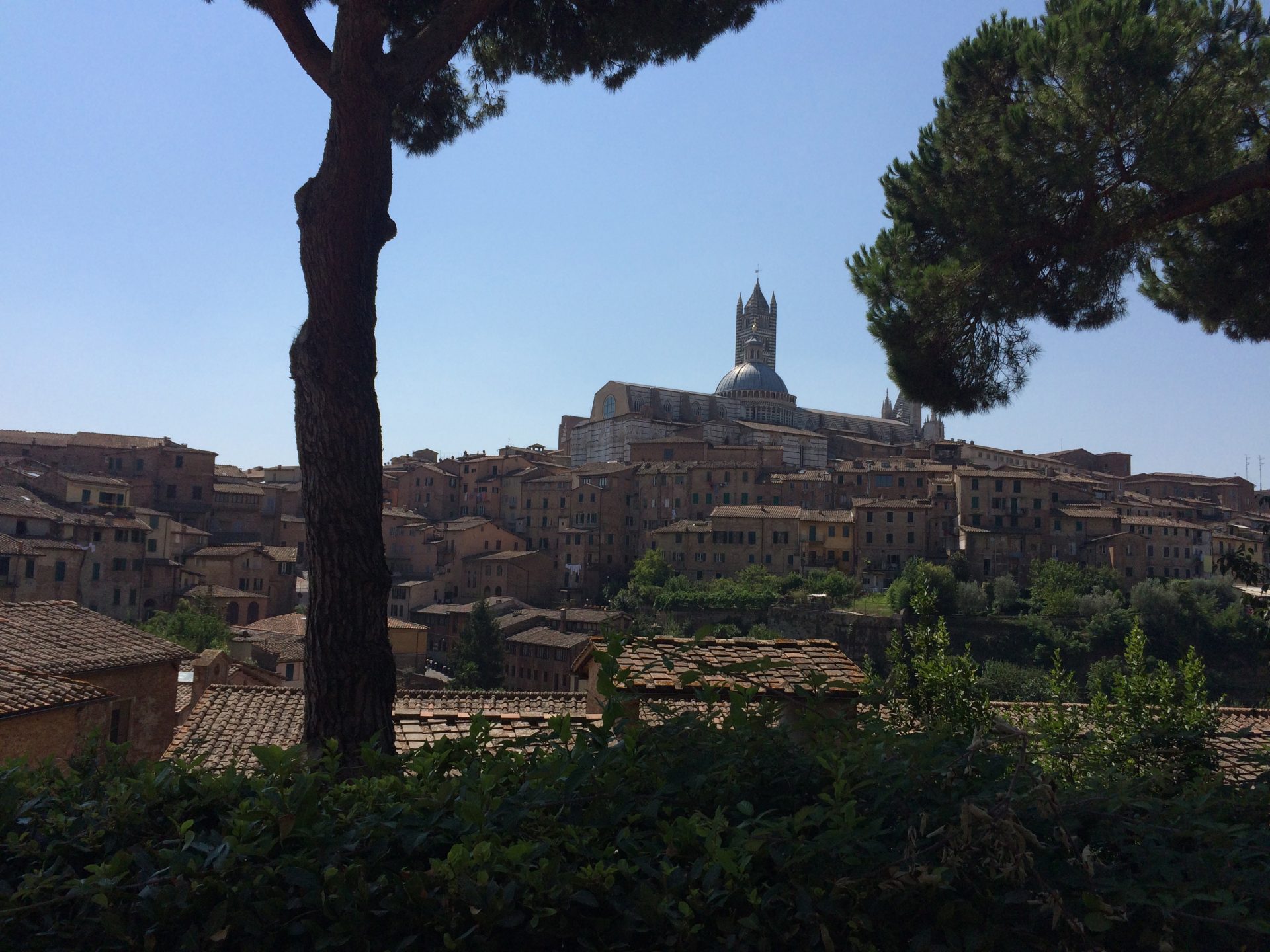 best tour of tuscany