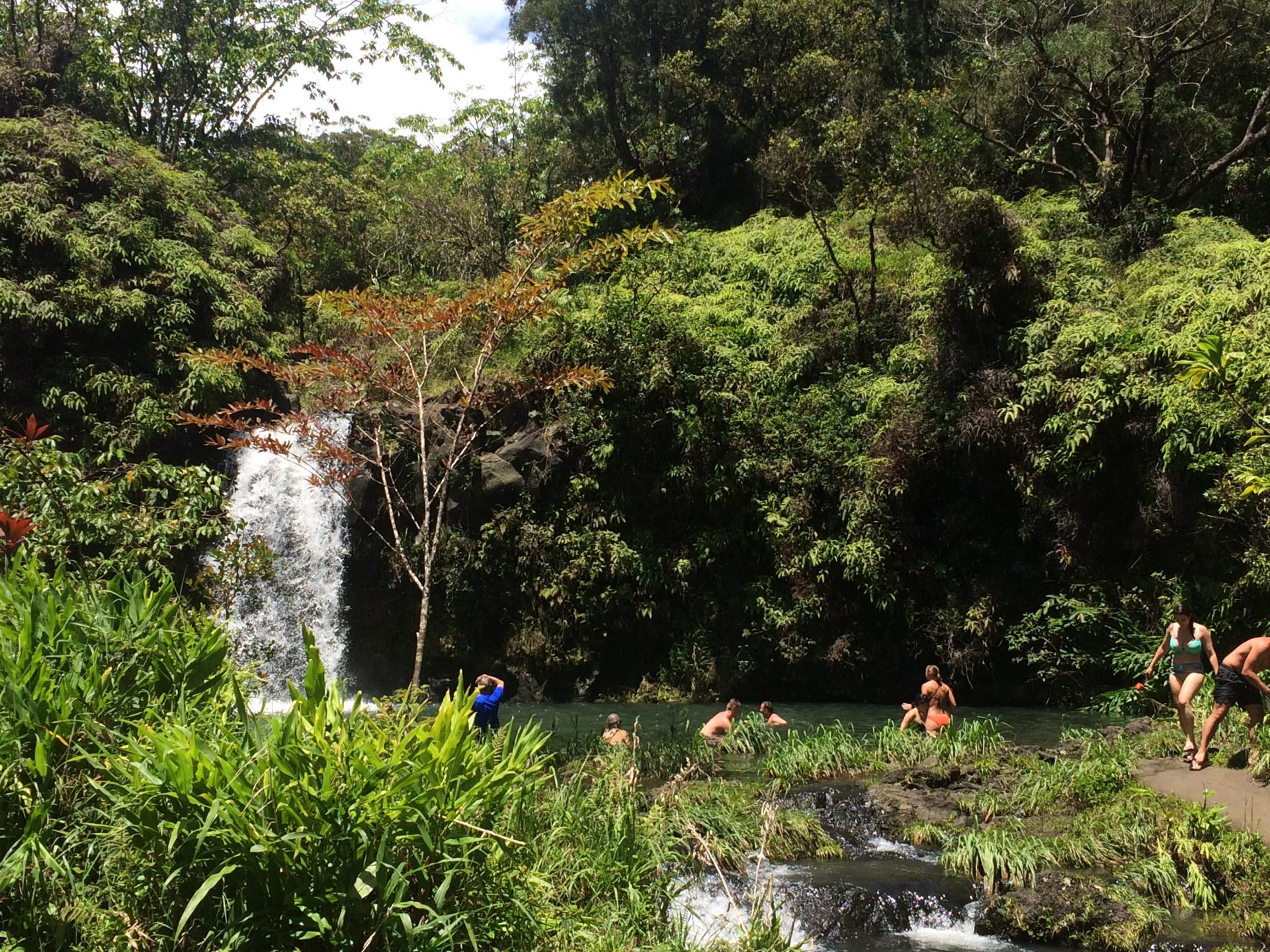 road to hana drive