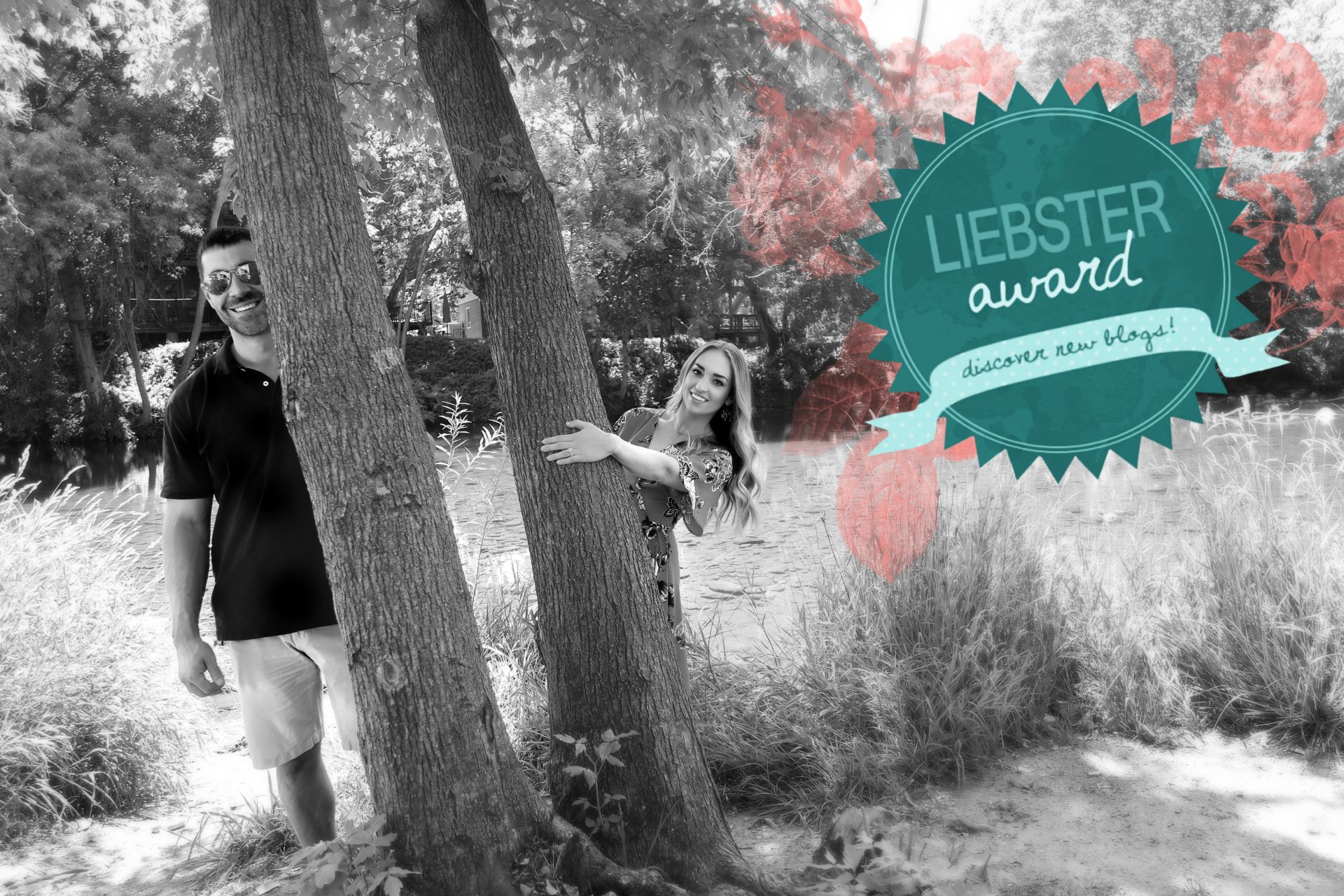 leibster award