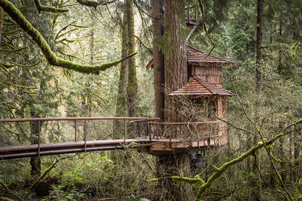 Treehouse Hotels Around the World
