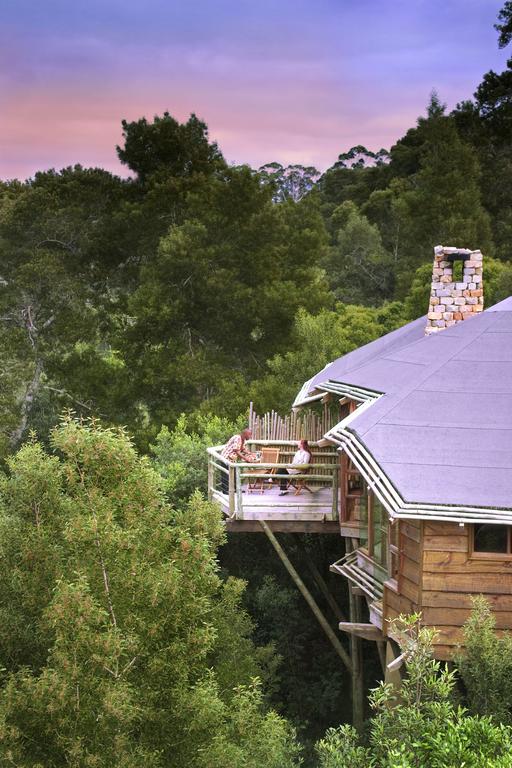 treehouse hotels around the world