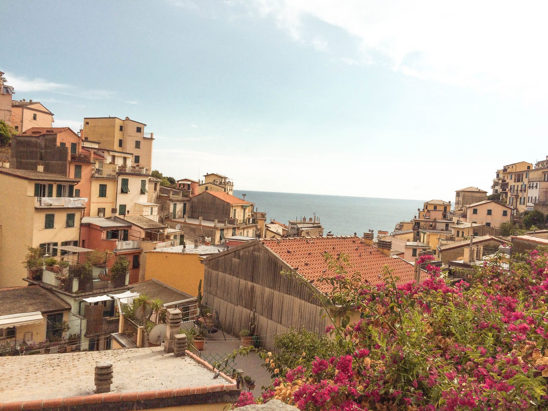 the best of cinque Terre
