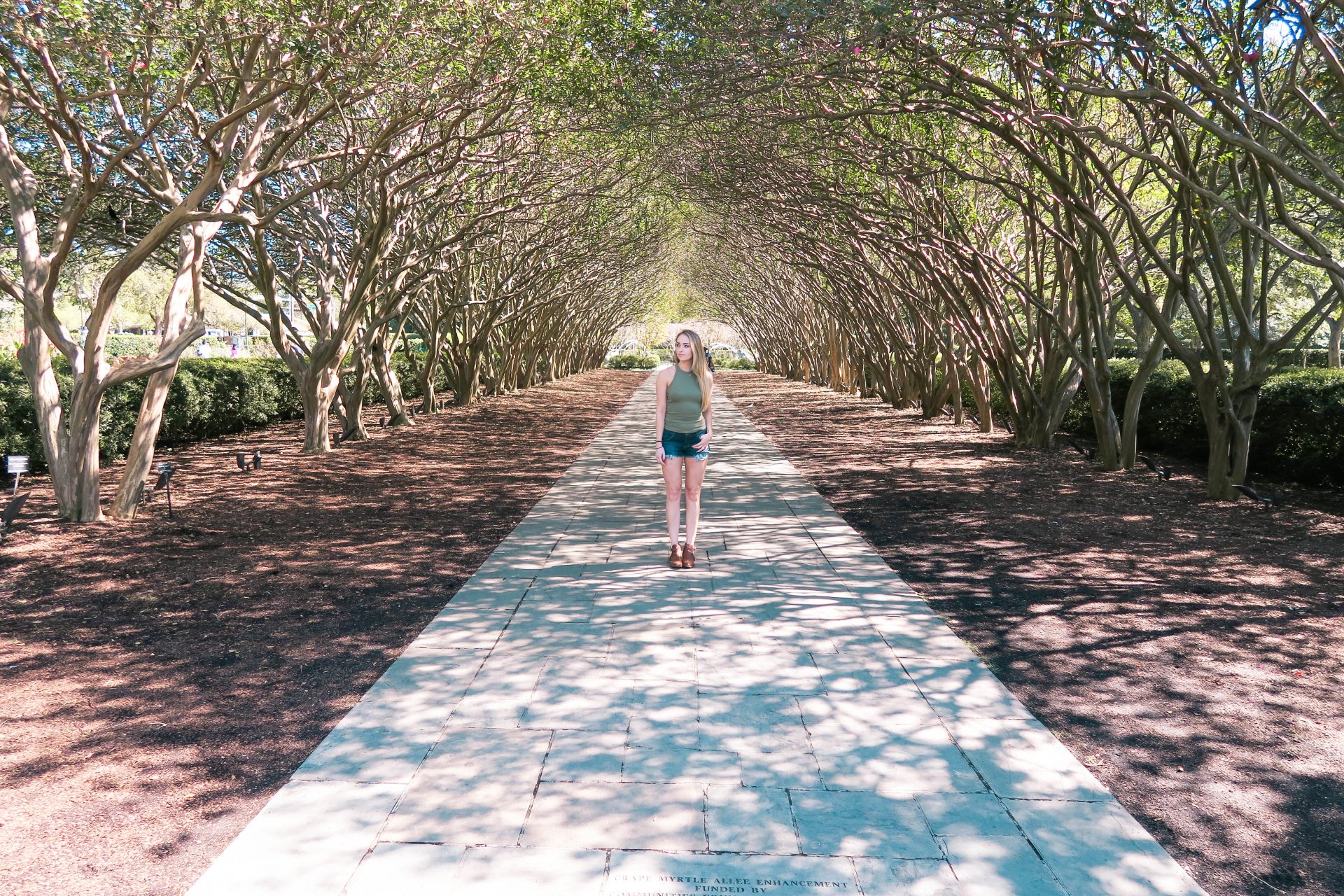 dallas arboretum