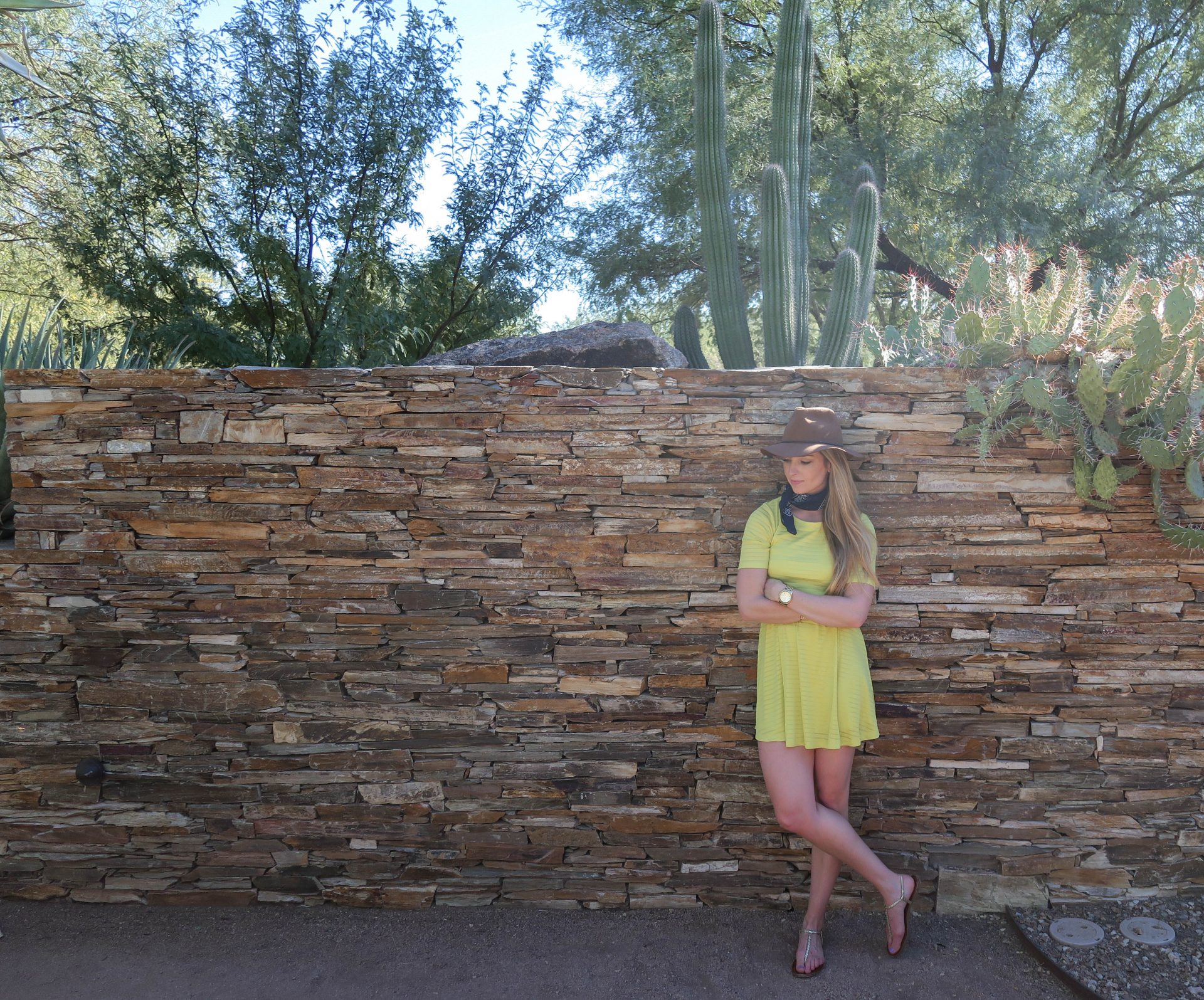 desert botanical gardens