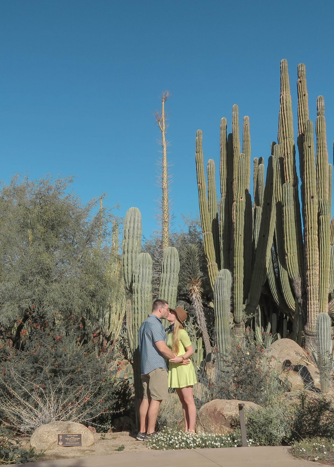 desert botanical gardens