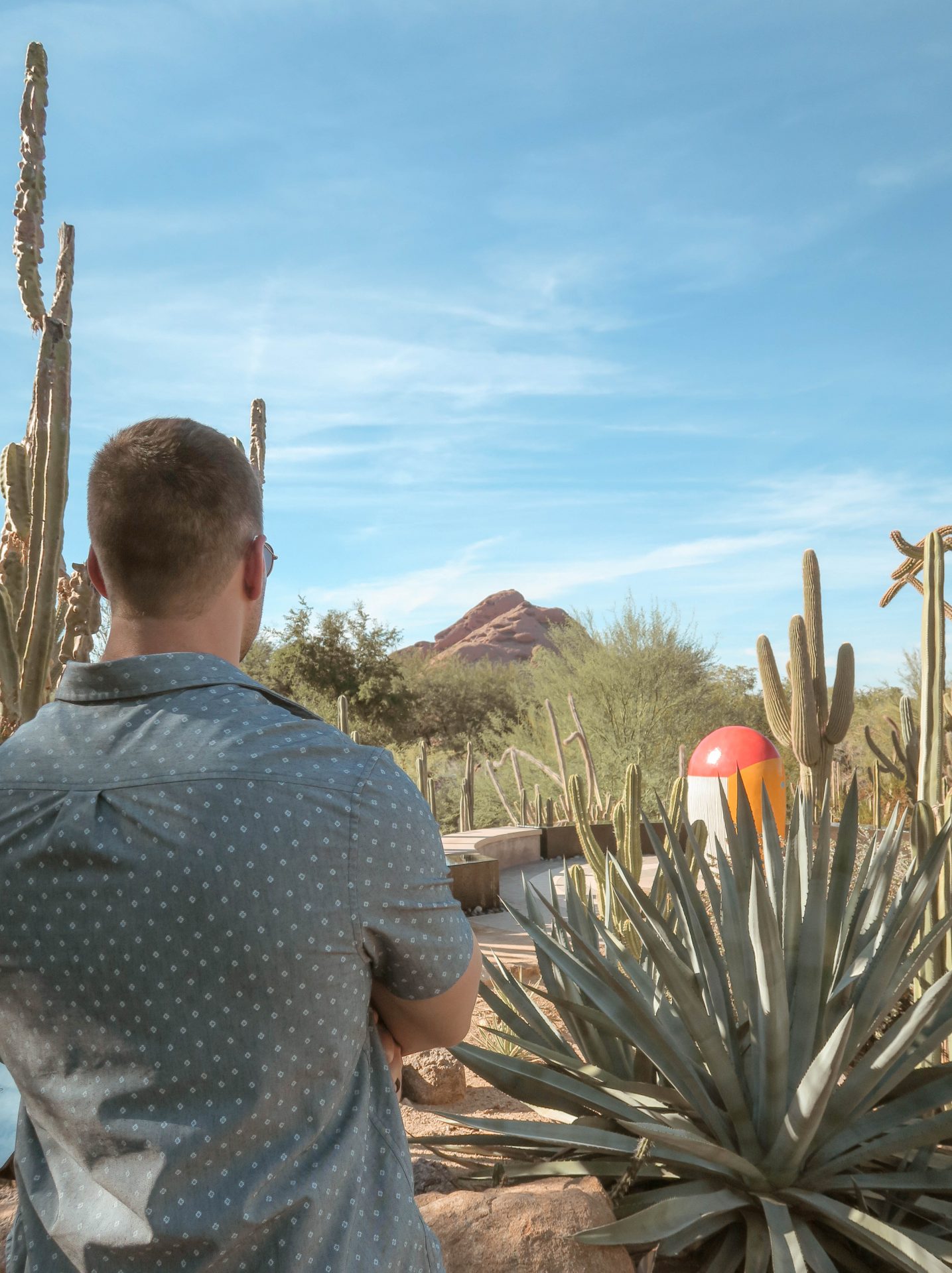 desert botanical gardens