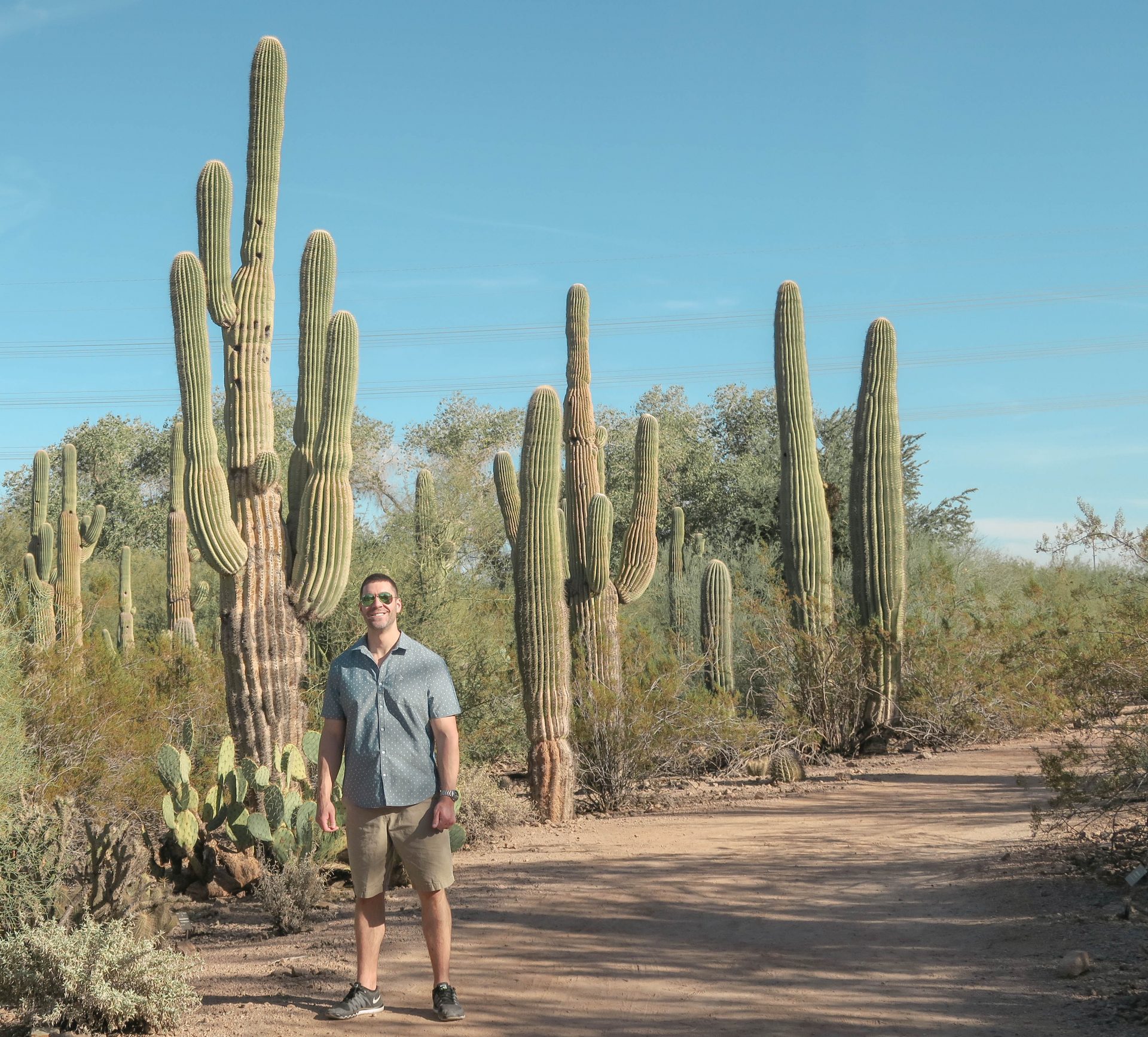 desert botanical gardens
