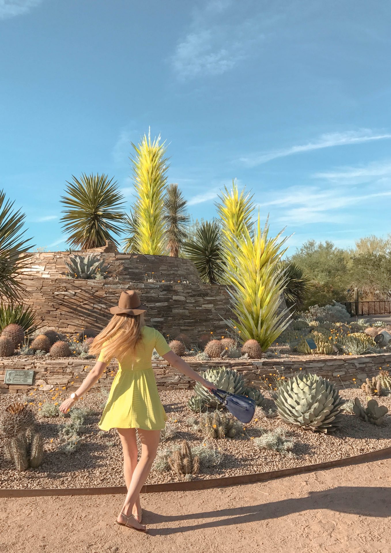 desert botanical gardens phoenix