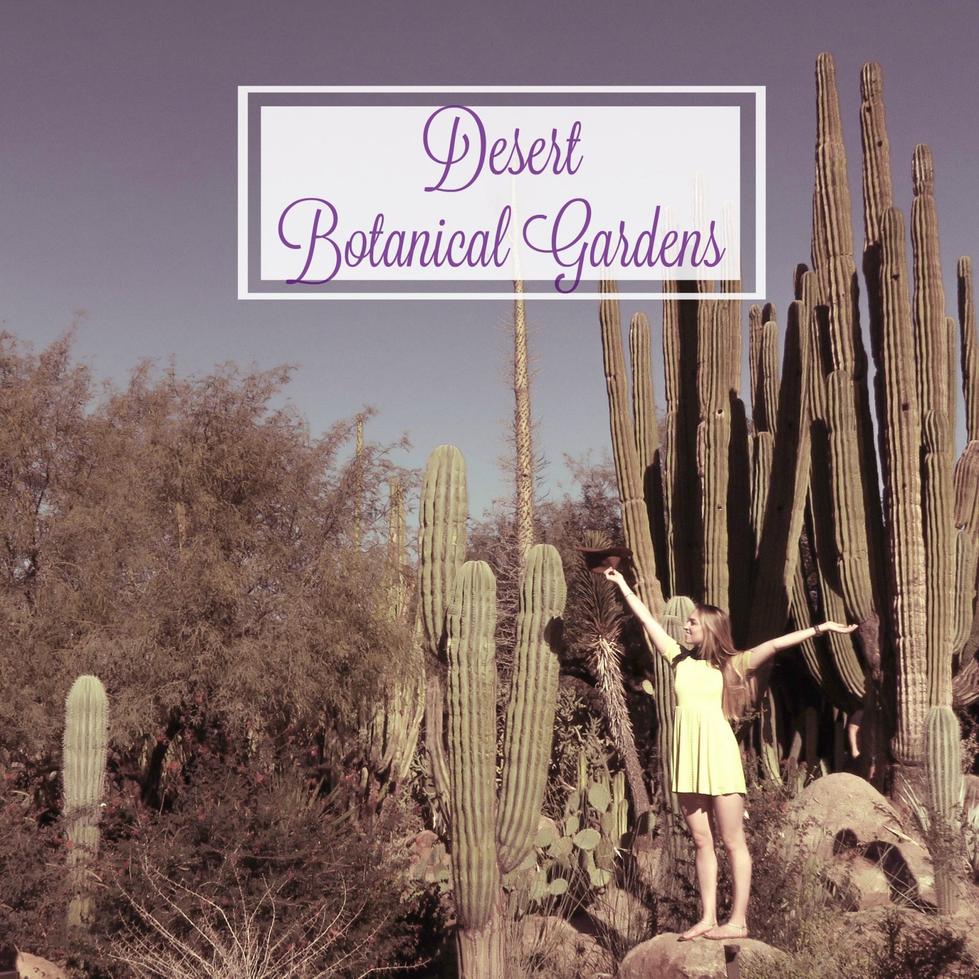 desert botanical gardens phoenix