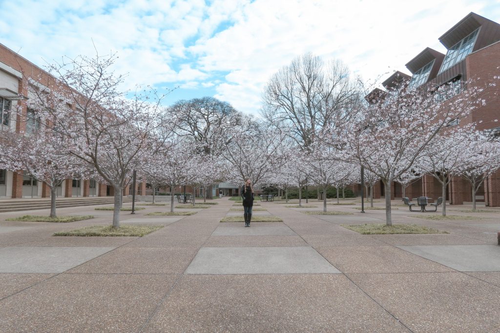 nashville itinerary Vanderbilt