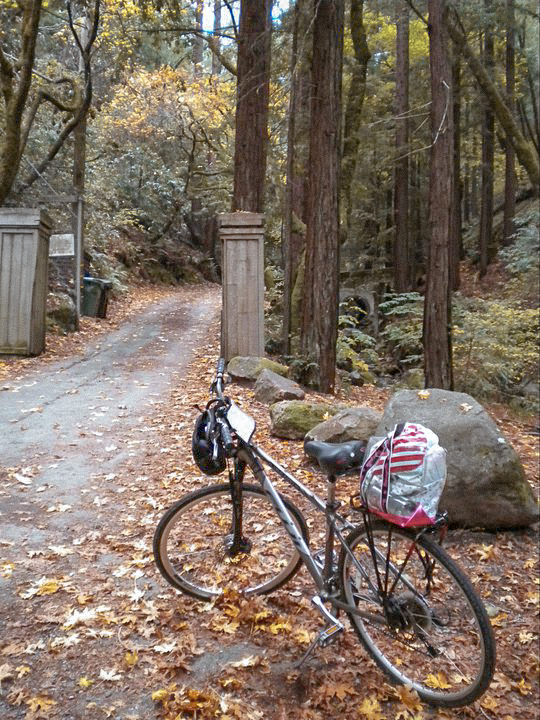 things to do in san francisco bike