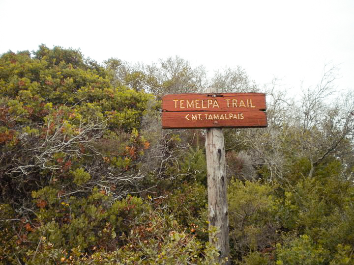 things to do in san francisco