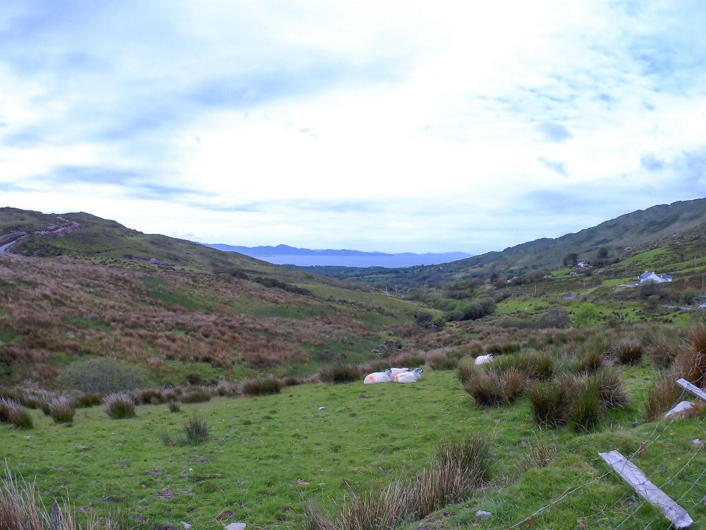 ireland road trip