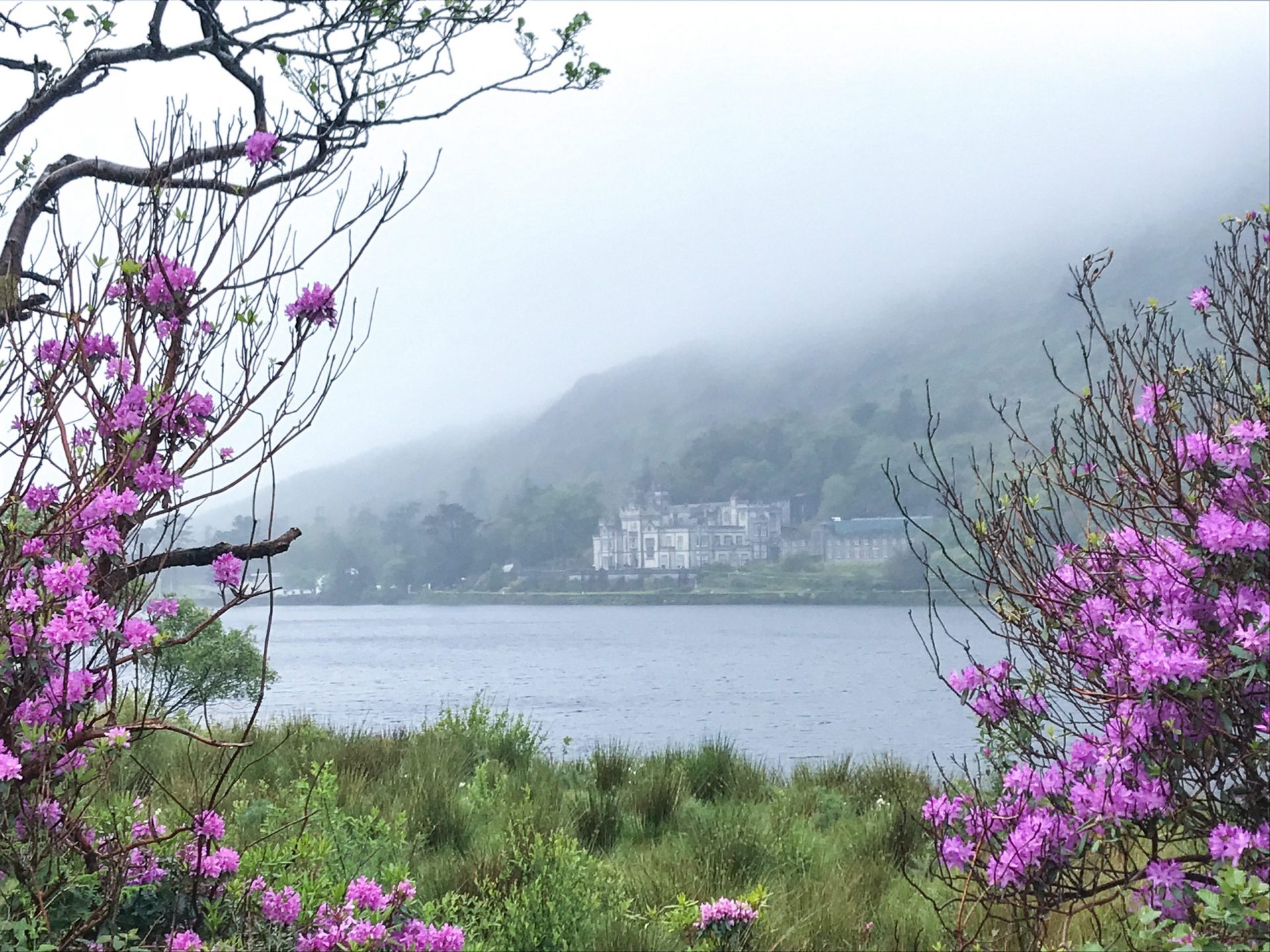 ireland road trip