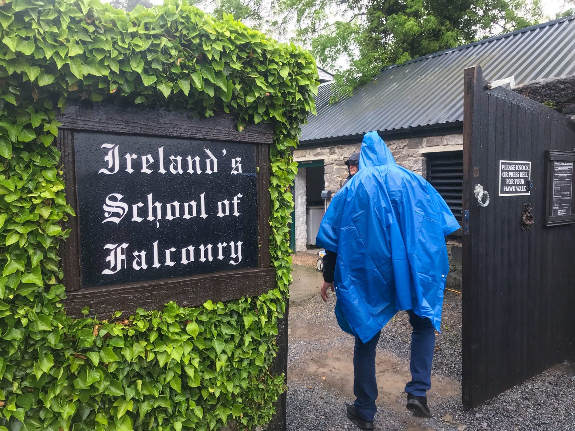 ireland falconry walk