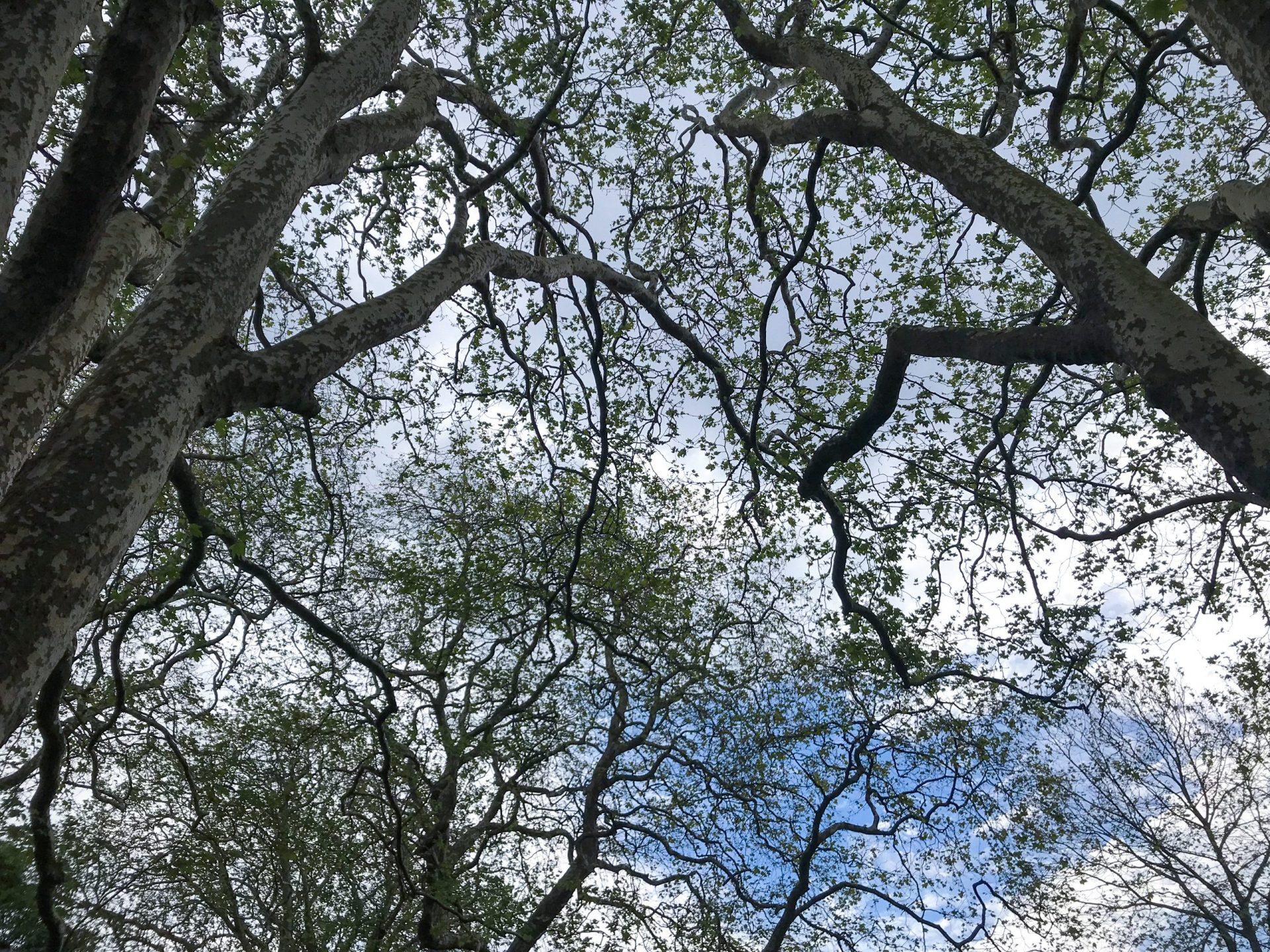 ireland road trip