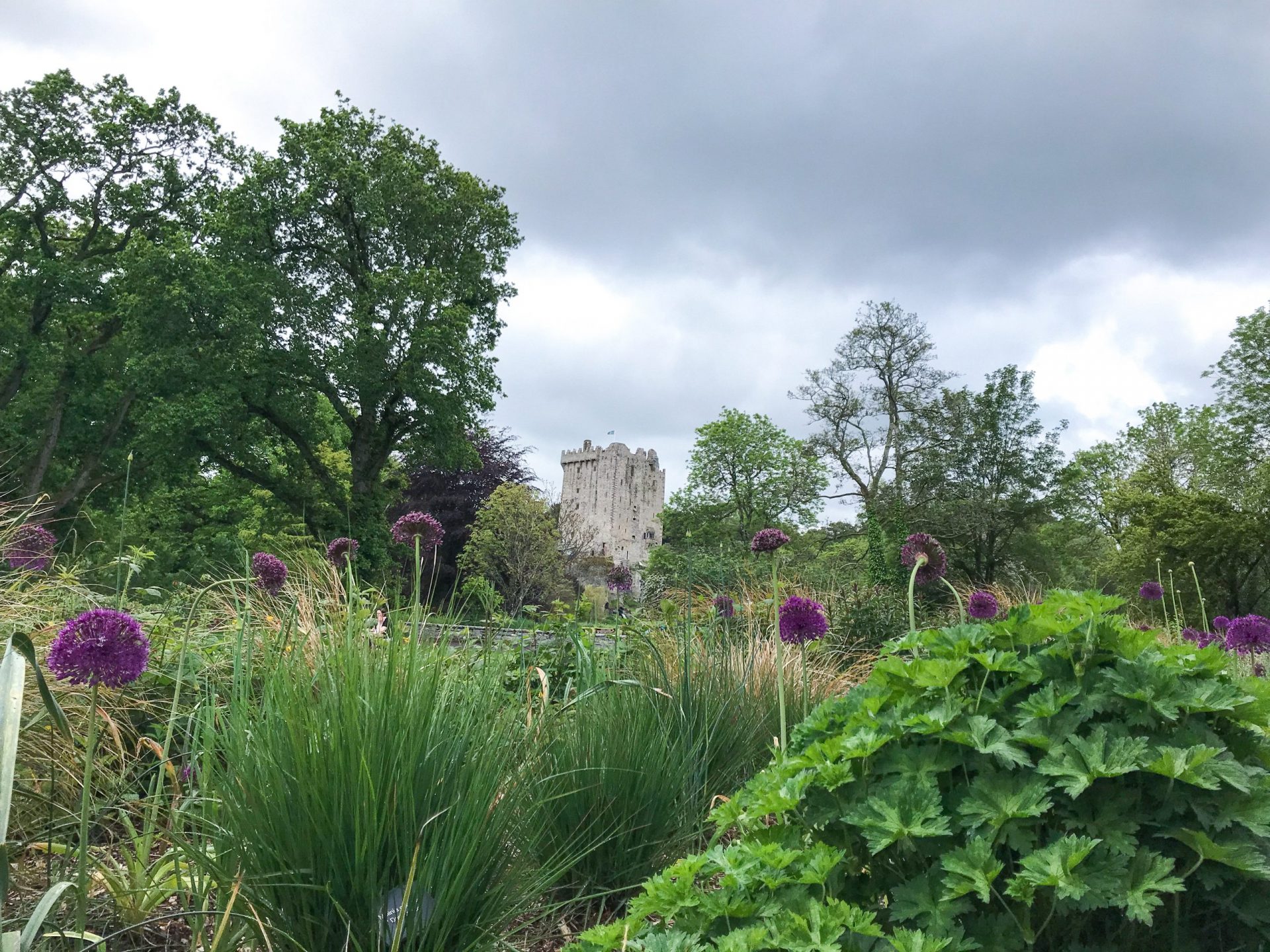 ireland road trip