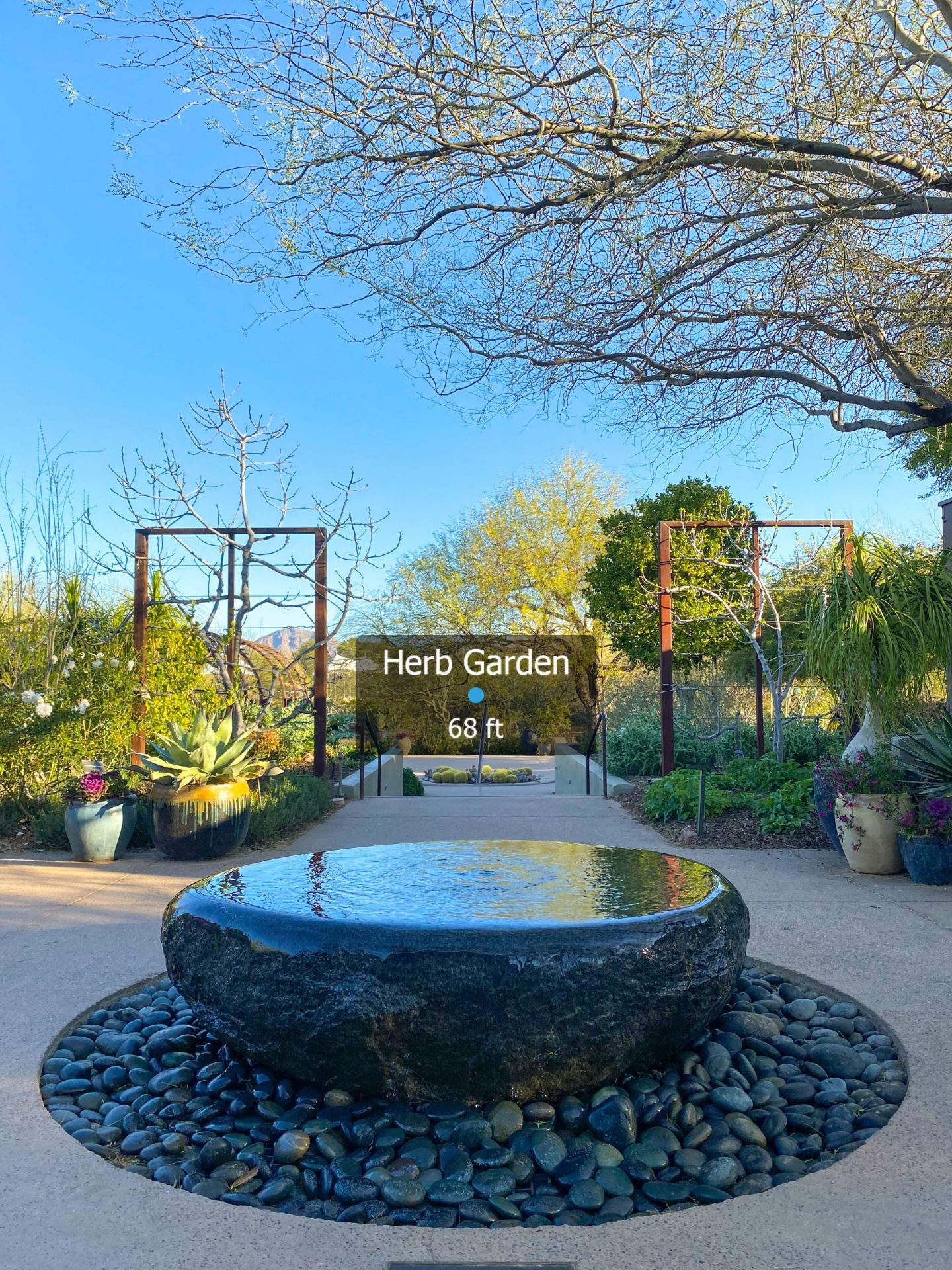 desert botanical garden map 