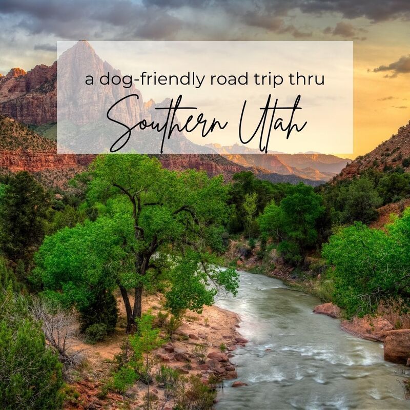 Dogfriendly Road Trip thru Southern Utah Dorworth Adventures