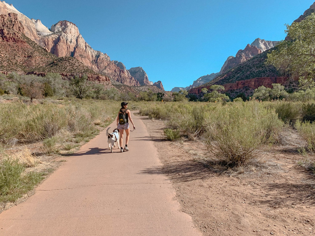 dog-friendly road trip utah