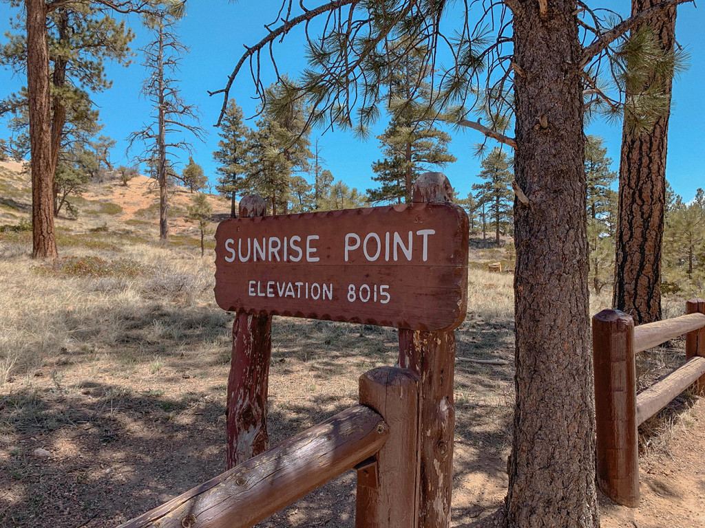 dog-friendly road trip utah