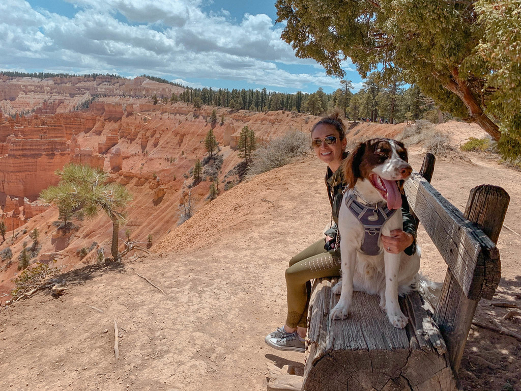 dog-friendly road trip utah