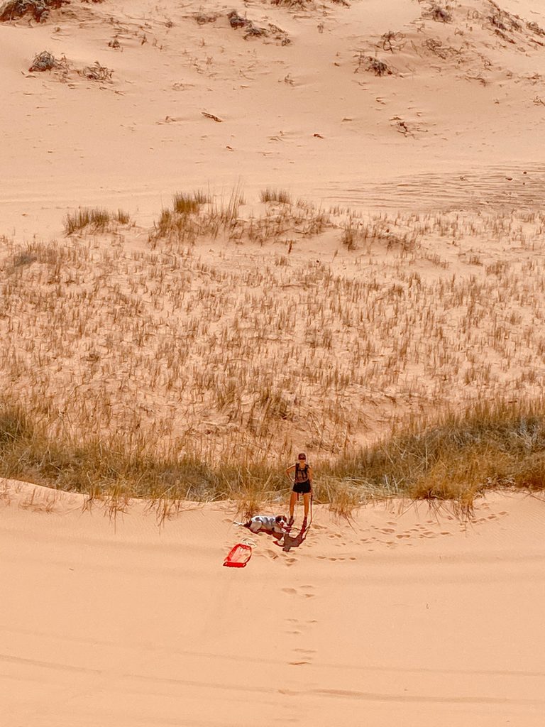 dog-friendly road trip utah