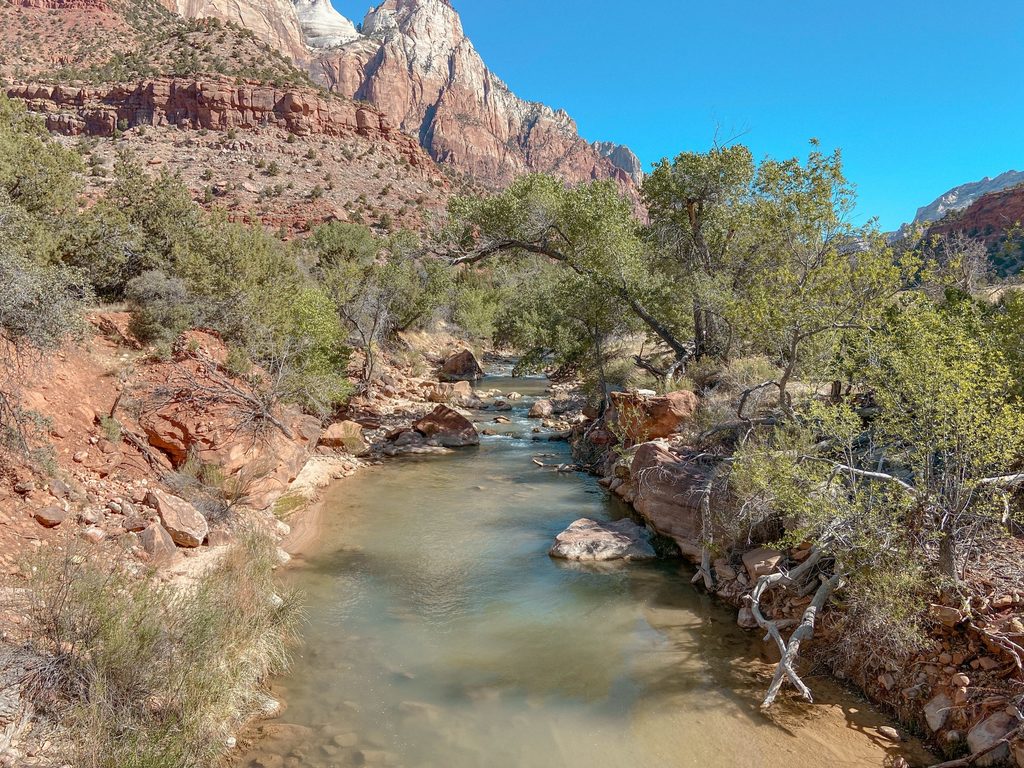 dog-friendly road trip utah