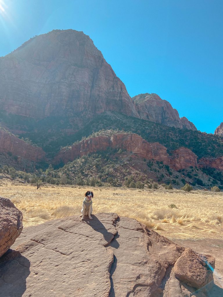 dog-friendly road trip utah