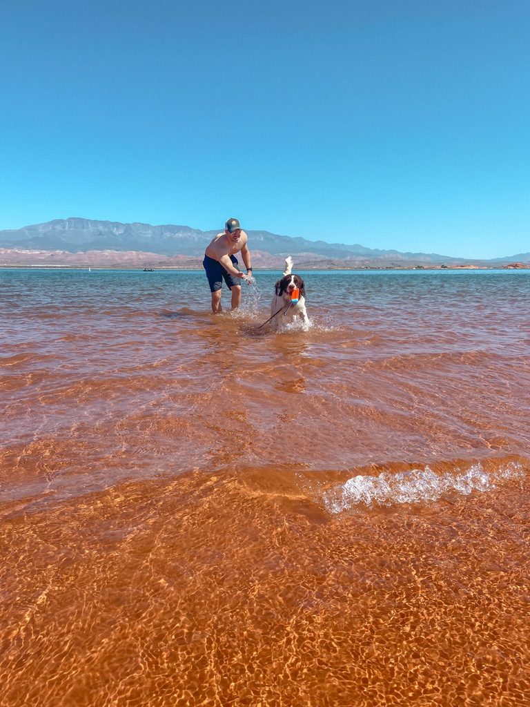 dog-friendly road trip utah