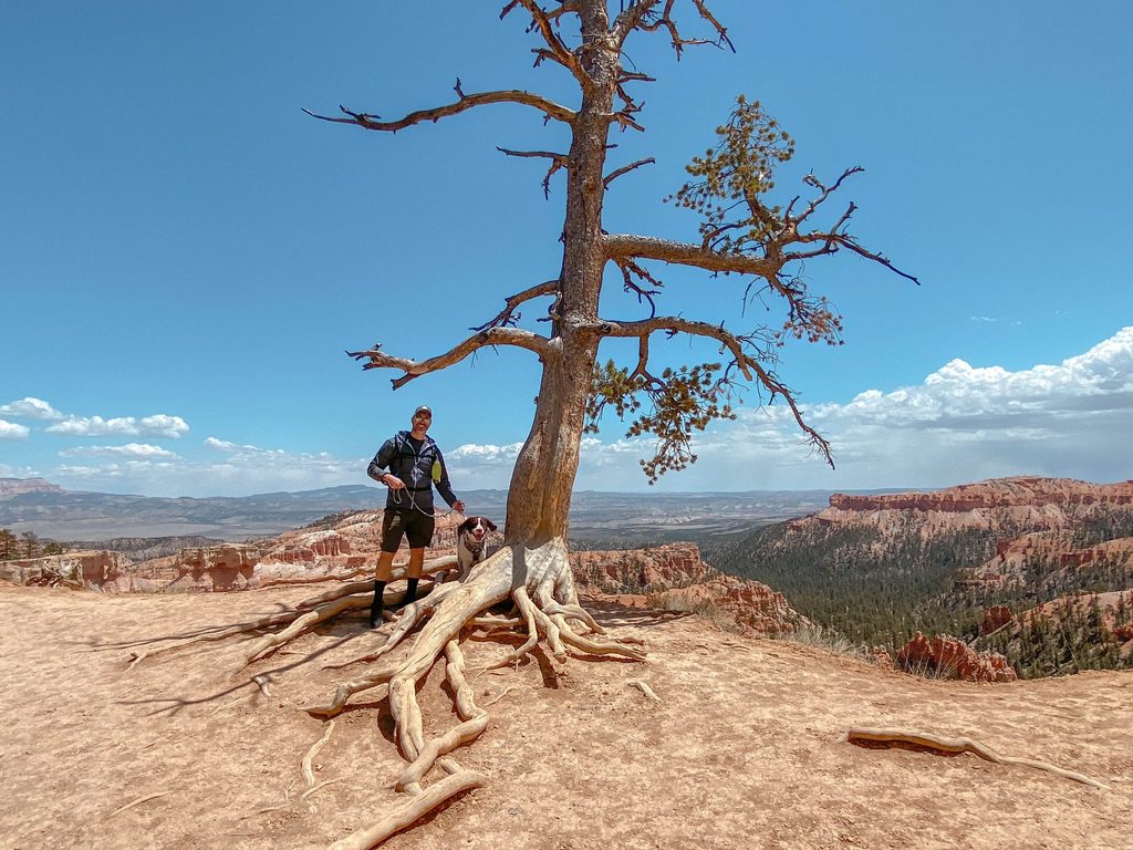 dog-friendly road trip utah