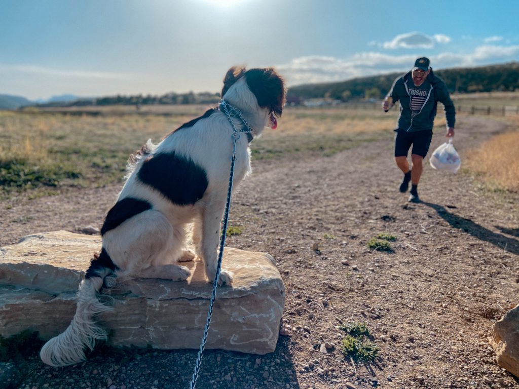 dog-friendly road trip utah