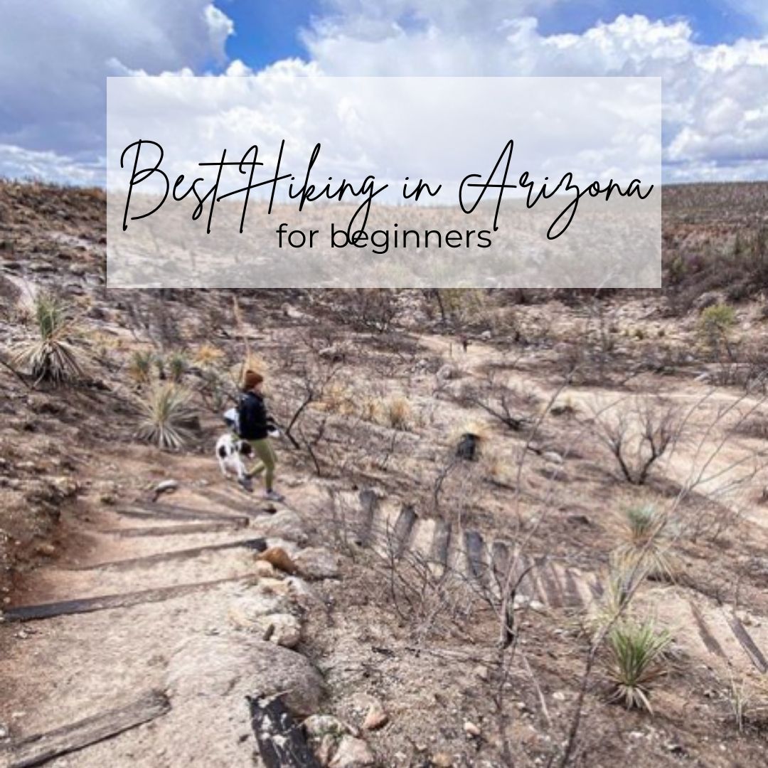 best hiking in arizona for beginners