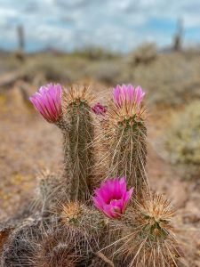 best hiking in arizona